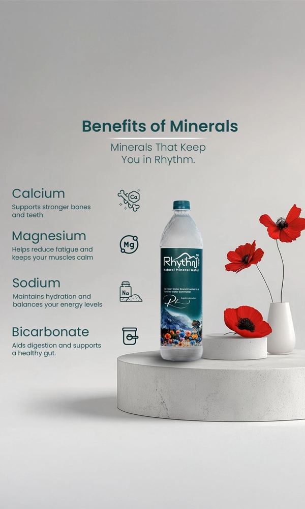 Natural Mineral Water 500 mL Pack of 24 Bottles