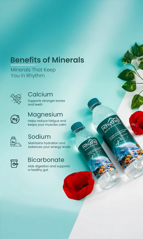 Natural Mineral Water 500 mL Pack of 24 Bottles