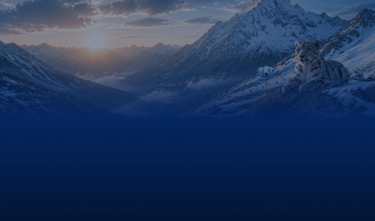 Footer Background