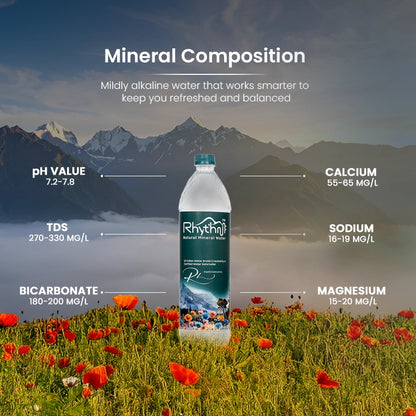 Natural Mineral Water 250 mL Pack of 48 Bottles