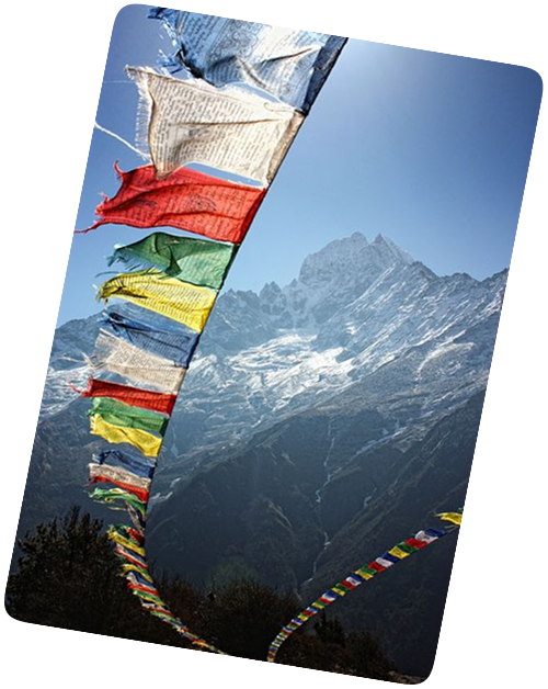 Image for 