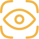 THE VISION