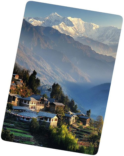 Image for 